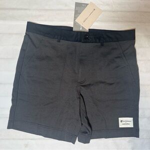 Icebreaker Men's Gray Shorts